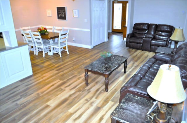 living room featuring dark hardwood / wood-style flooring