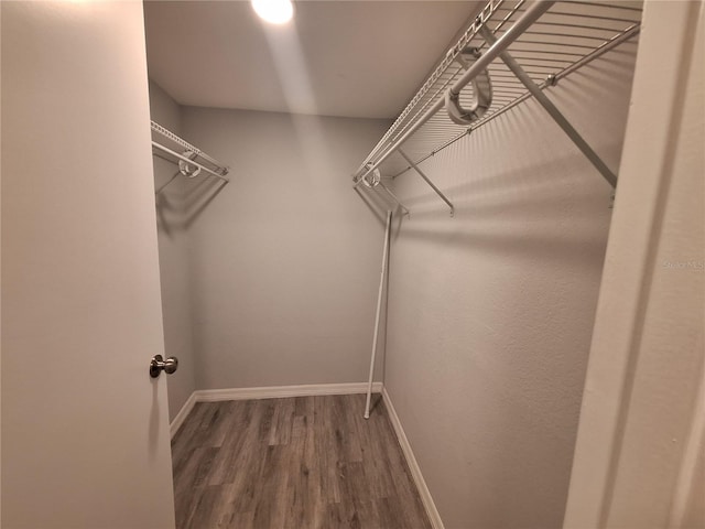 walk in closet featuring hardwood / wood-style flooring