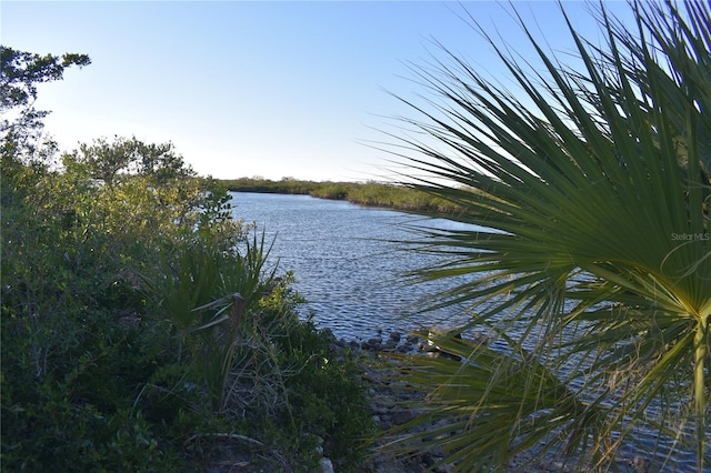 view of water feature