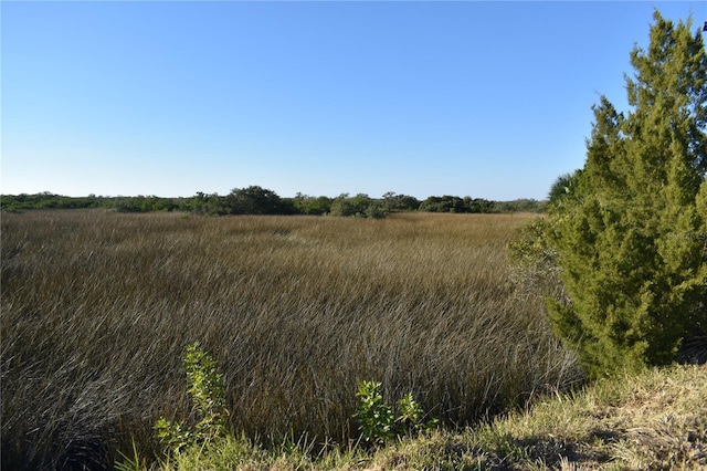 view of local wilderness with a rural view