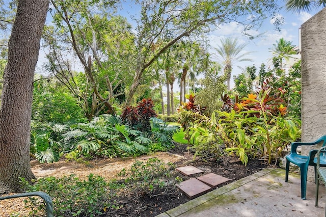 view of yard featuring a patio