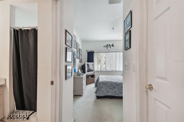 carpeted bedroom featuring a spacious closet and a closet