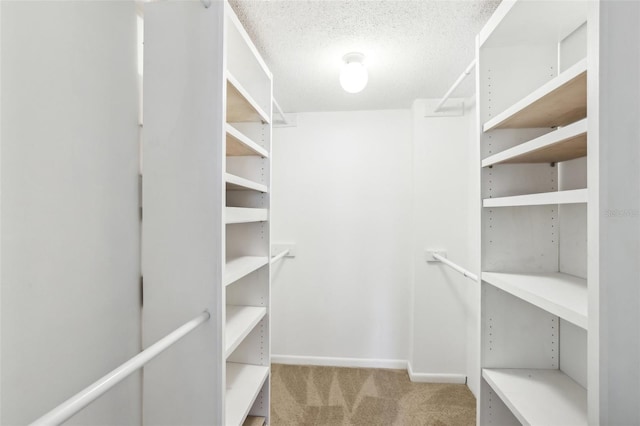 spacious closet with carpet