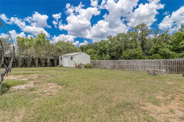 view of yard with a storage shed