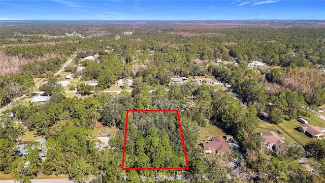 0 Ravens Brook Rd, Wesley Chapel FL, 33544 land for sale