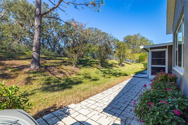 view of yard with a patio area