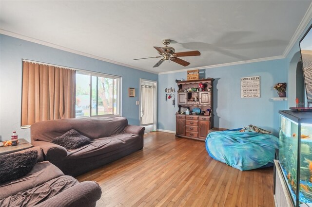 7201 Park St S, Saint Petersburg, FL 33707 - photo 5
