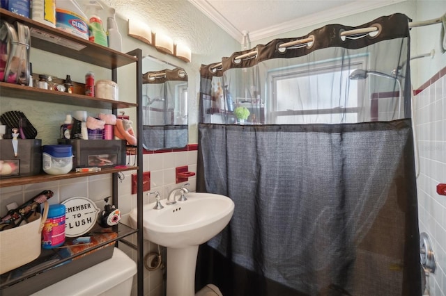 7201 Park St S, Saint Petersburg, FL 33707 - photo 14