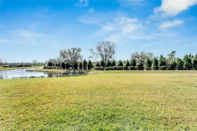 view of yard with a water view