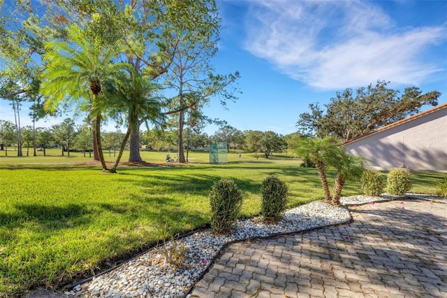 view of yard featuring a patio