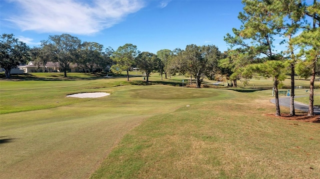 view of community featuring a lawn