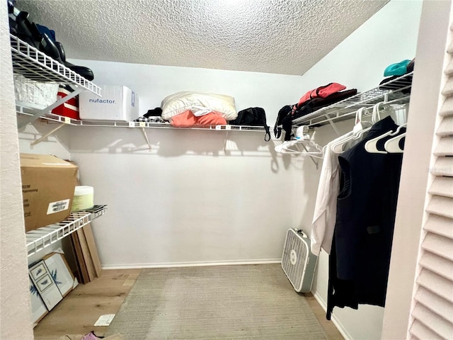 spacious closet featuring light hardwood / wood-style flooring