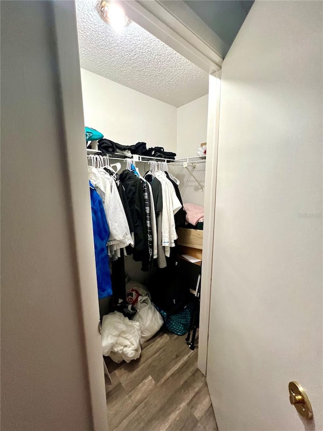 spacious closet featuring hardwood / wood-style flooring