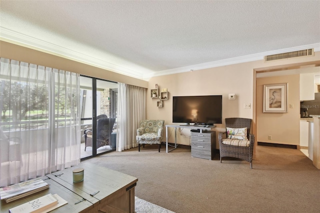 carpeted living room with crown molding and a textured ceiling