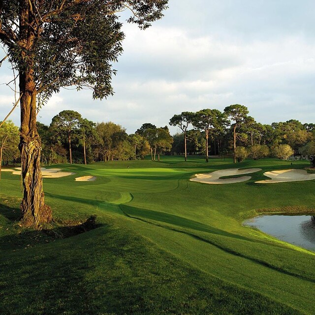 36750 US Highway 19 N Unit 19219, Palm Harbor, FL 34684 - view of community with a lawn, view of scattered trees, and view of golf course