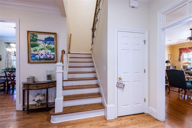 staircase featuring hardwood / wood-style floors, ceiling fan, and crown molding