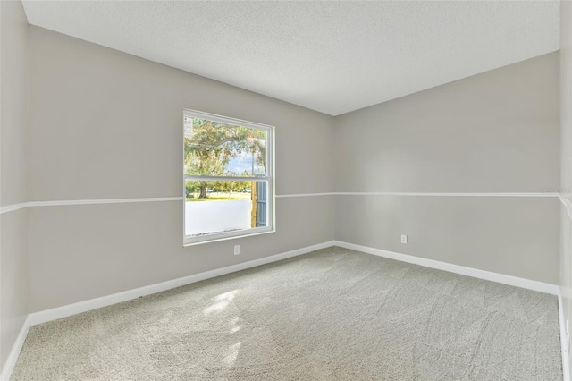 unfurnished room with carpet and a textured ceiling