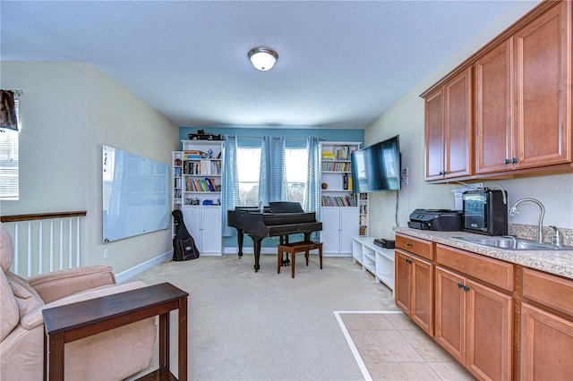 interior space with sink, light colored carpet, and a textured ceiling