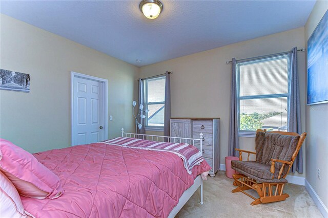 11807 Cross Vine Dr, Riverview, FL 33579 - photo 32