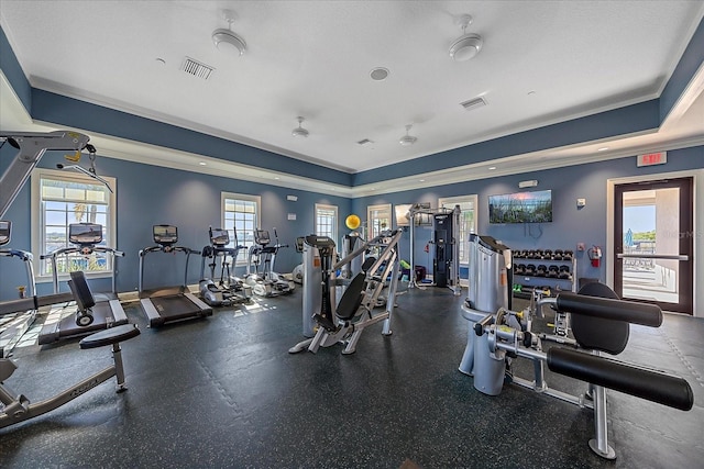 workout area featuring ornamental molding, a tray ceiling, and a healthy amount of sunlight