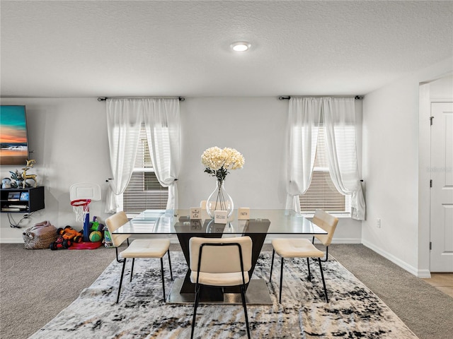 carpeted dining space featuring a textured ceiling and plenty of natural light