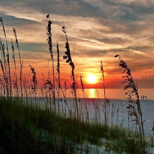 nature at dusk with a water view