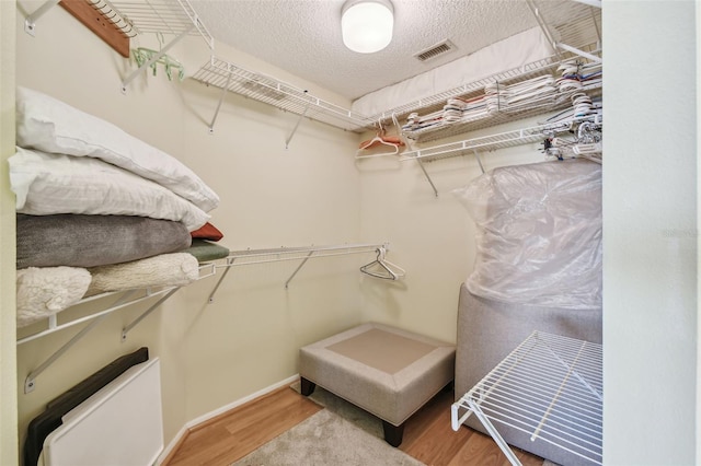 spacious closet featuring hardwood / wood-style floors