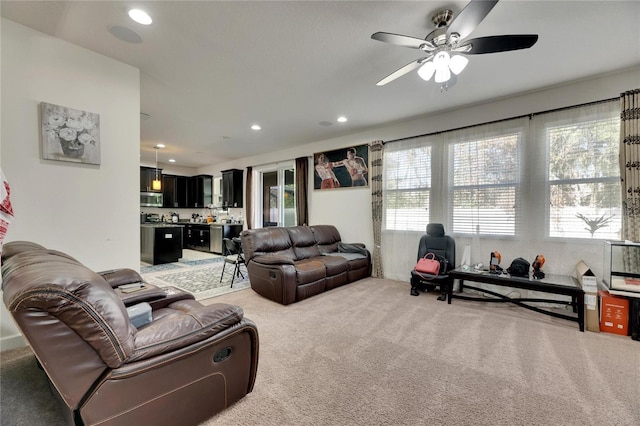 living room with carpet and a wealth of natural light