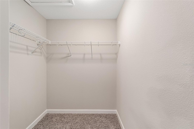 spacious closet featuring carpet floors