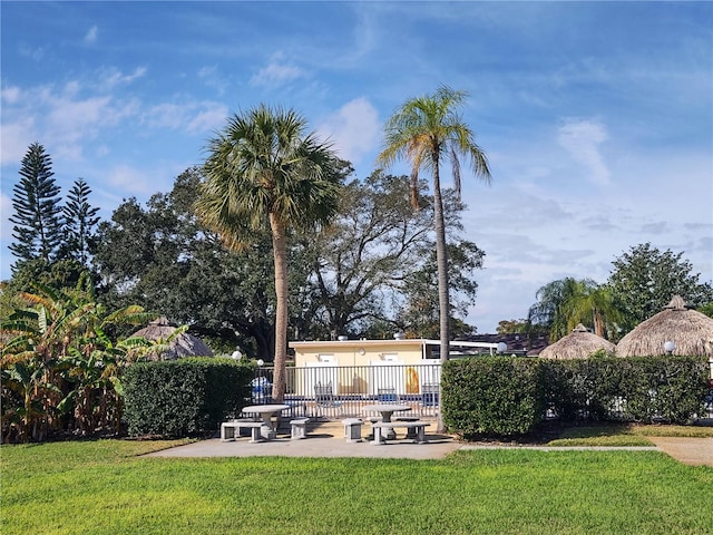 view of yard featuring a patio area