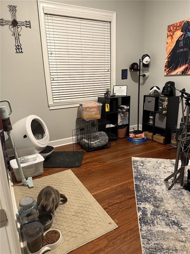 interior space with dark hardwood / wood-style floors