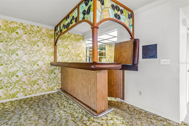 bar featuring a textured ceiling, carpet floors, and crown molding