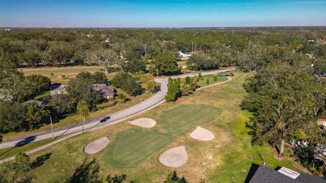 1116 N Riverhills Dr, Temple Terrace, FL 33617 - photo 52