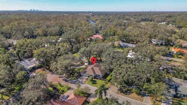 1116 N Riverhills Dr, Temple Terrace, FL 33617 - photo 56