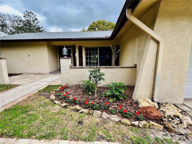 doorway to property featuring a shingled roof and stucco siding