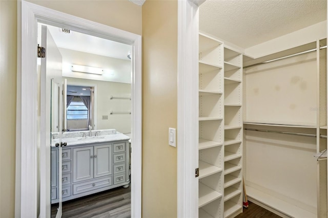 walk in closet with sink and dark wood-type flooring