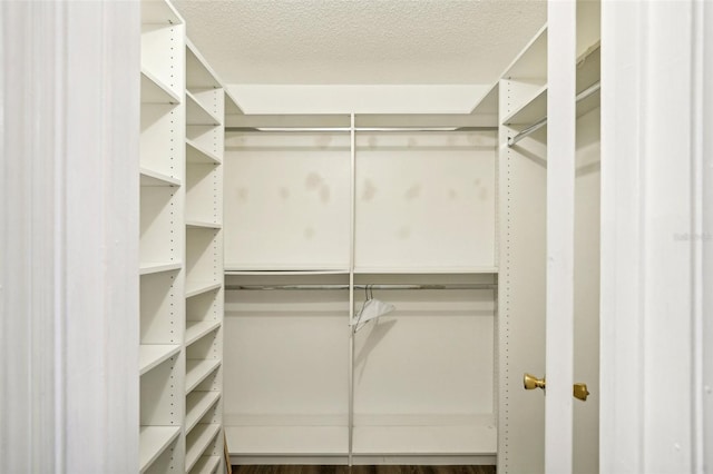 walk in closet with dark wood-type flooring