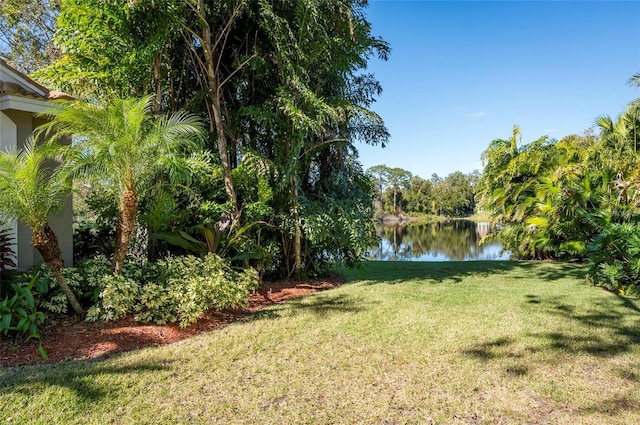 view of yard with a water view