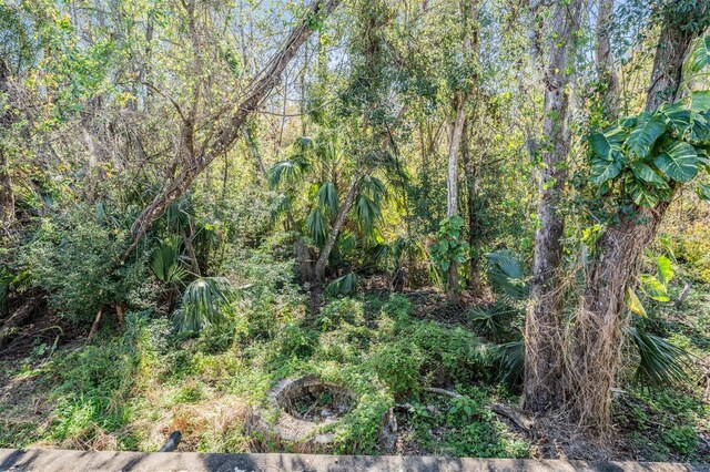 12306 Woodlands Cir, Dade City, FL 33525 - photo 22