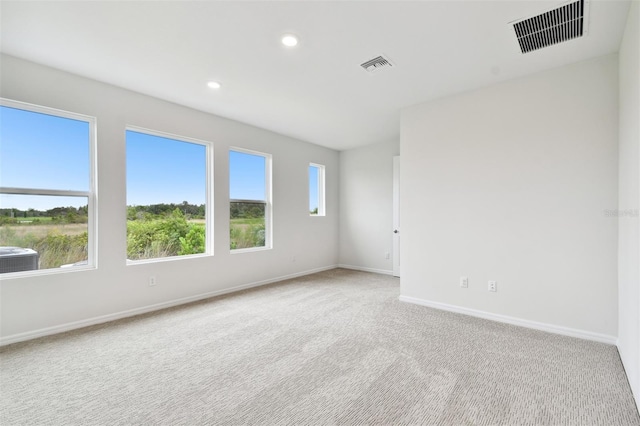 spare room with plenty of natural light and light colored carpet