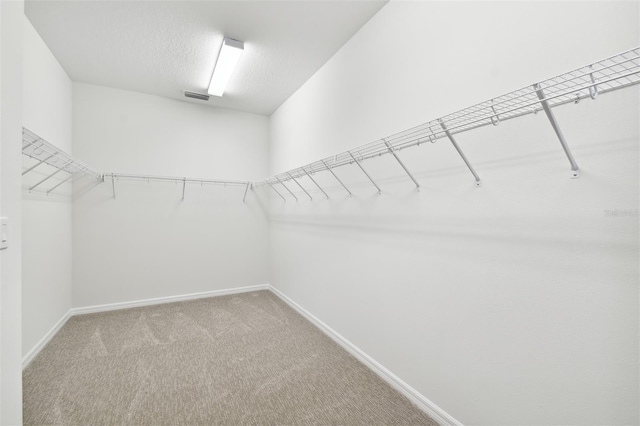 spacious closet with light colored carpet