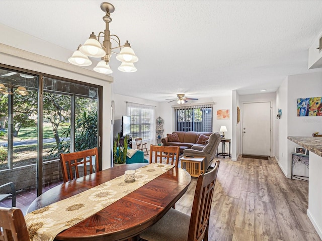 dining room with a textured ceiling, wood-type flooring, and ceiling fan with notable chandelier