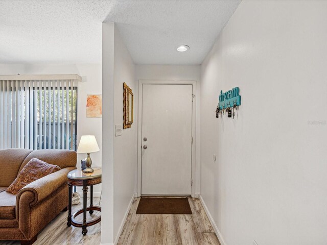 1901 Lennox Rd E Unit 1901, Palm Harbor, FL 34683 - doorway featuring light wood finished floors, baseboards, and a textured ceiling