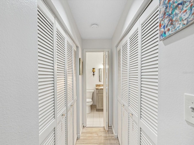 1901 Lennox Rd E Unit 1901, Palm Harbor, FL 34683 - hallway featuring light wood-style floors