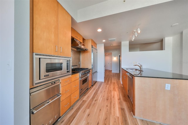 kitchen featuring light hardwood / wood-style flooring, high end appliances, and sink