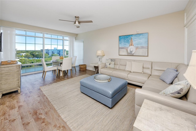 living room with ceiling fan and light hardwood / wood-style flooring