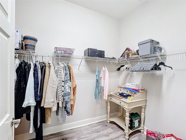 spacious closet featuring wood-type flooring