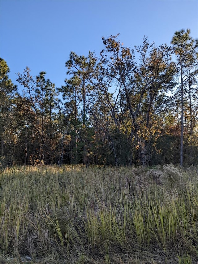 13046 Barnevelde Rd, Brooksville FL, 34614 land for sale