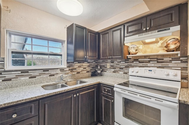 3529 Windham Dr, Holiday, FL 34691 - photo 10