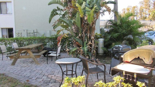 20853 Haulover Cv Unit A8, Lutz, FL 33558 - view of patio
